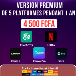 PACK STREAMING PREMIUM – 5 PLATEFORMES / 1 AN